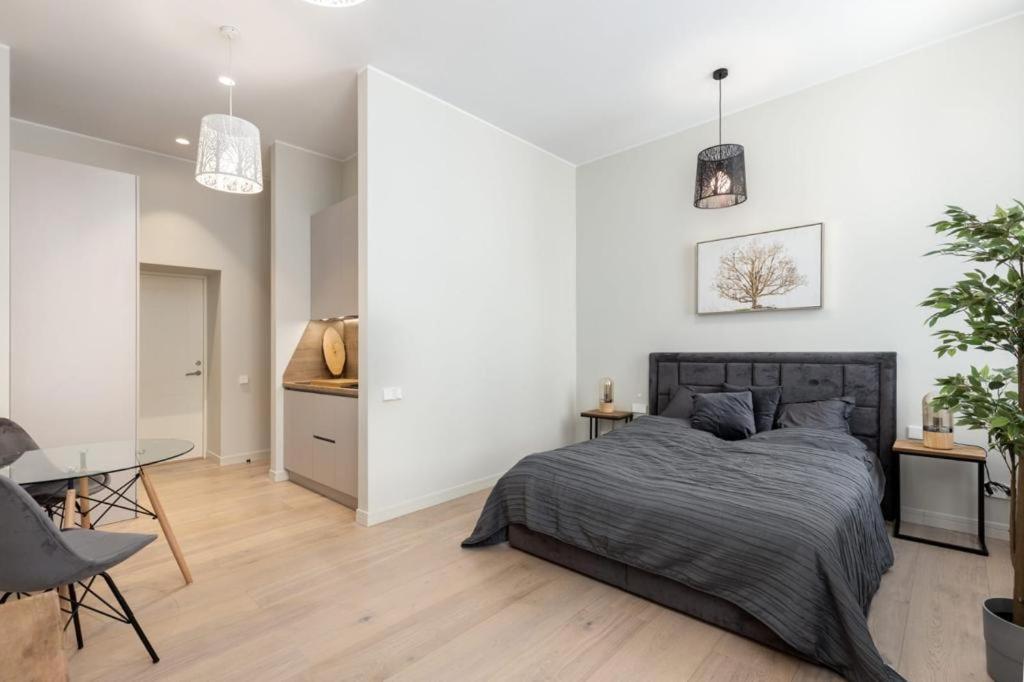 Kalnina Street Studio Apartment Riga Buitenkant foto