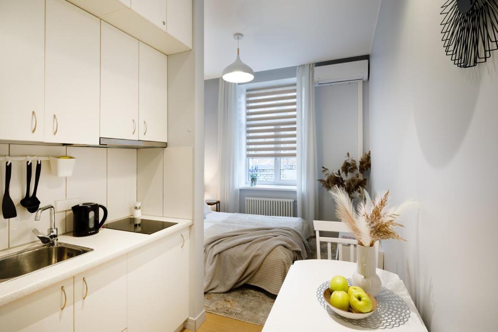 Kalnina Street Studio Apartment Riga Buitenkant foto