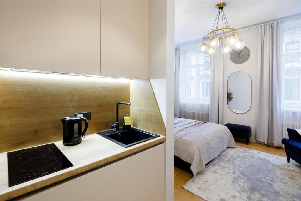 Kalnina Street Studio Apartment Riga Buitenkant foto